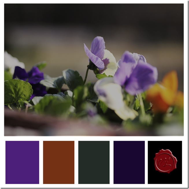 pansies colour board