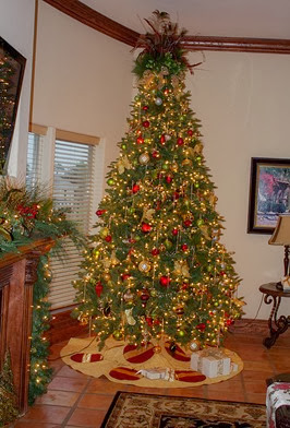 Retama Christmas tree