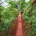 Treehouse Poste Rojo - close to Granada, Nicaragua treehouse_003.jpg