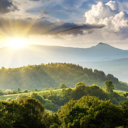 Hd-185055-ascw185055