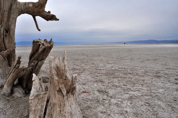 [DSC_0021-1%255B4%255D.jpg]