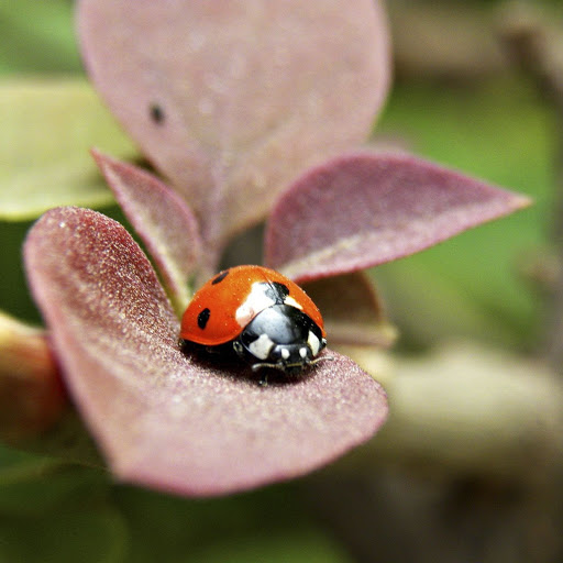 Hd-149373-ascw149373