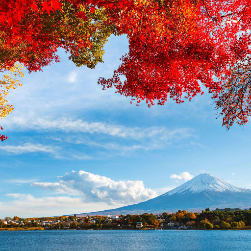 Hd-178139-ascw178139