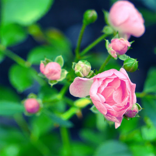 Hd-179621-ascw179621