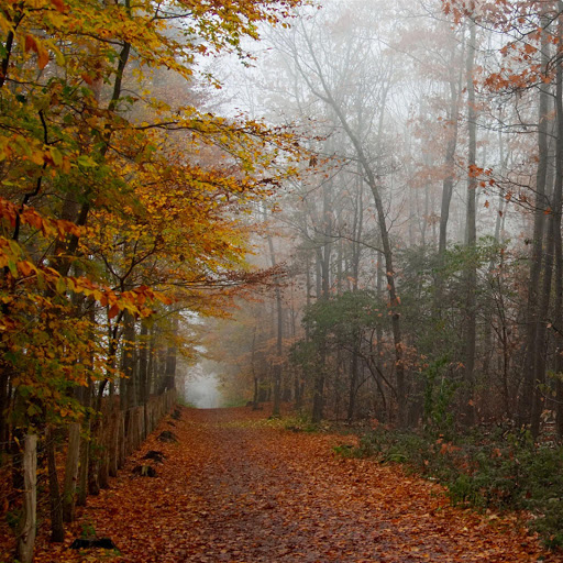 Hd-134834-ascw134834