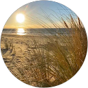 Image Google de Nina Couini