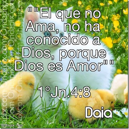 frasess cristianas airesdefiestas (15)