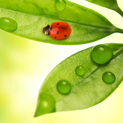 Hd-178124-ascw178124