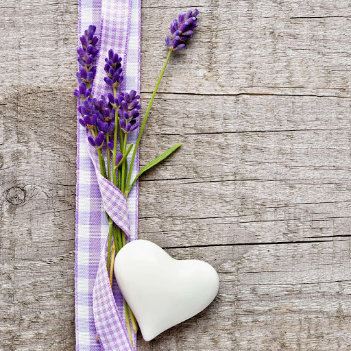 Hd-156700-ascw156700