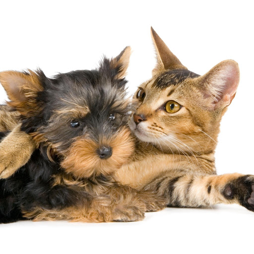 Hd-174613-ascw174613