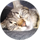 Image Google de joh siv
