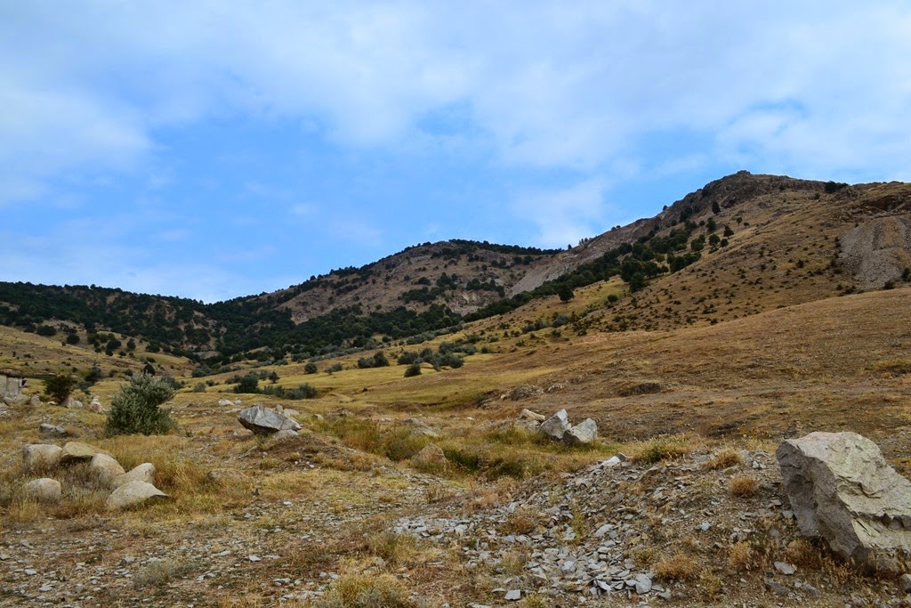 [DSC_69853.jpg]