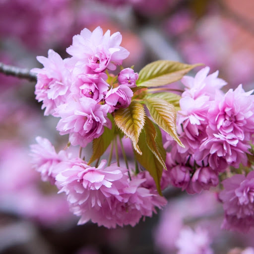 Hd-164385-ascw164385