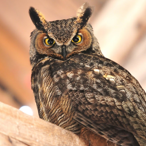 Hd-180587-ascw180587