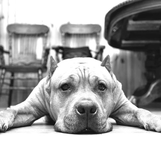 Hd-175283-ascw175283