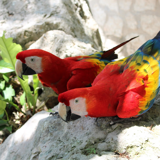 Hd-155926-ascw155926