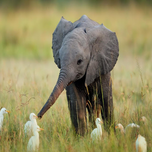 Hd-167838-ascw167838