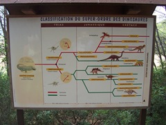 2008.09.10-030 classification des dinosaures