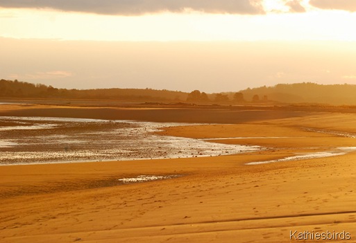 22. golden sand-kab 22. golden sand-kab