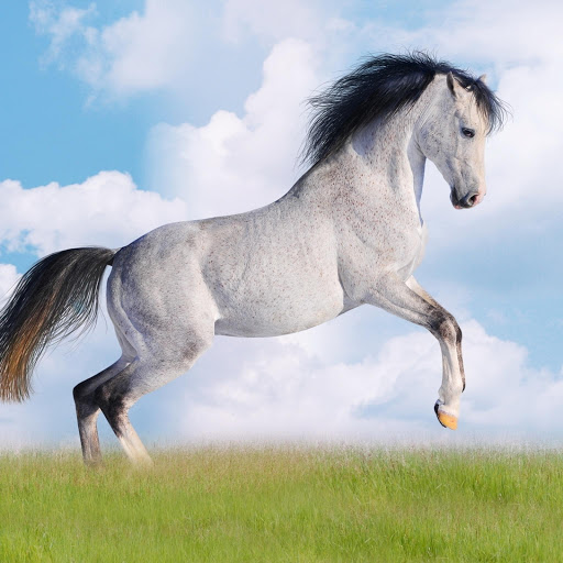 Hd-179069-ascw179069