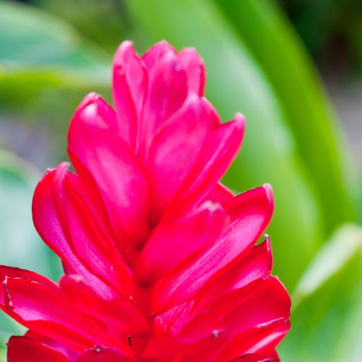 Hd-142392-ascw142392