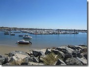 IMG_5273 IMG_5273