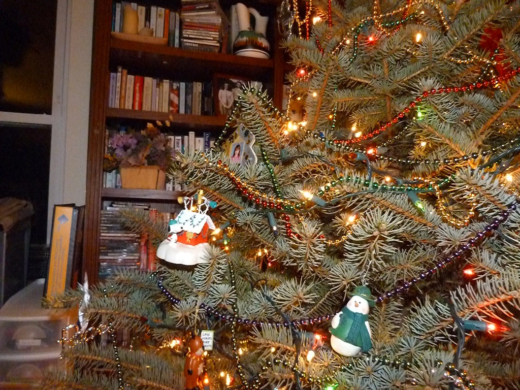 [2011-12-19-decorating-tree-0193.jpg]