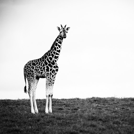 Hd-178971-ascw178971