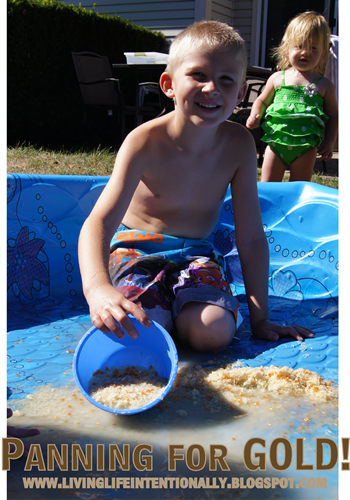 hands on history for kids - panning for gold in california gold rush hands on history for kids - panning for gold in california gold rush