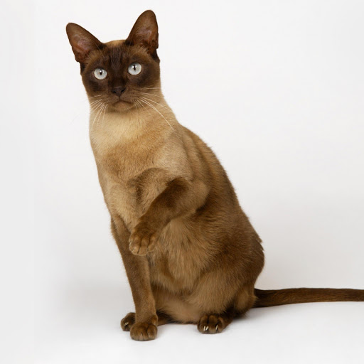 Hd-182096-ascw182096