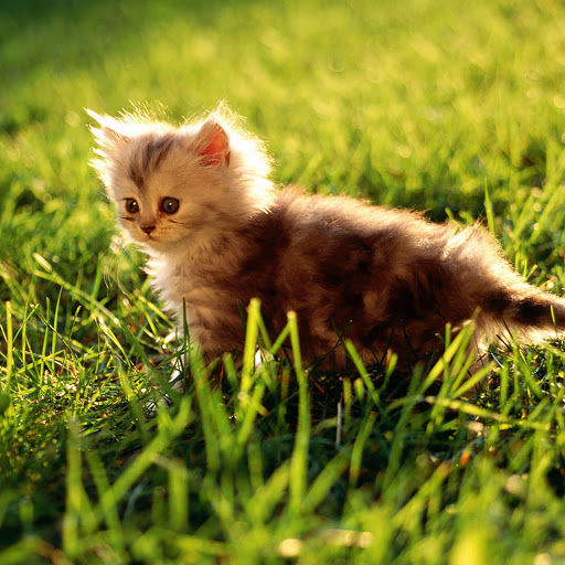 Hd-144133-ascw144133