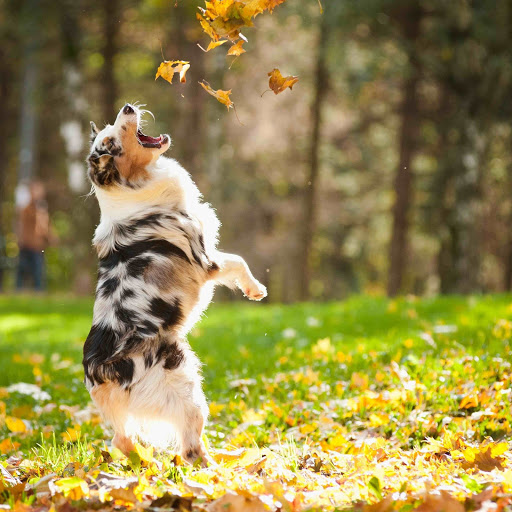 Hd-168358-ascw168358