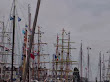Sail 2005, wel indrukwekkend.jpg