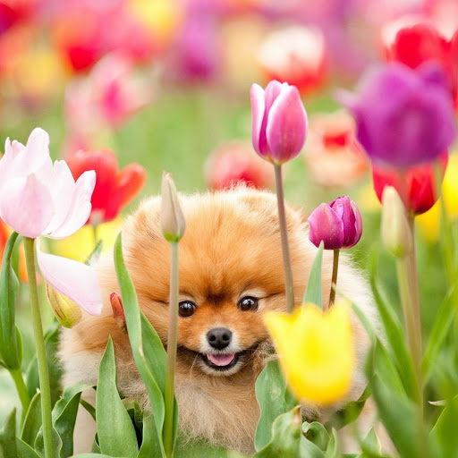 Hd-173820-ascw173820