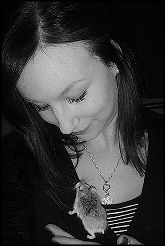 Cipi schaut Susi an - Kopie