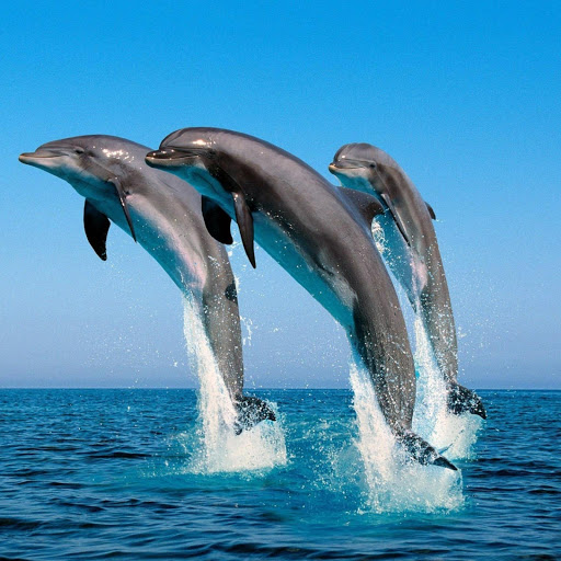 Hd-182038-ascw182038