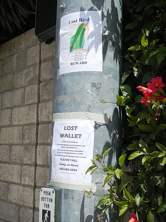 [DSCN3451%2520-%2520Kopie%255B5%255D.jpg]