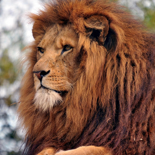 Hd-143533-ascw143533