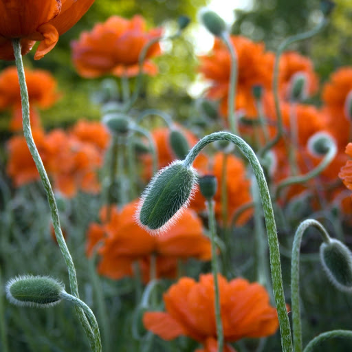 Hd-157809-ascw157809