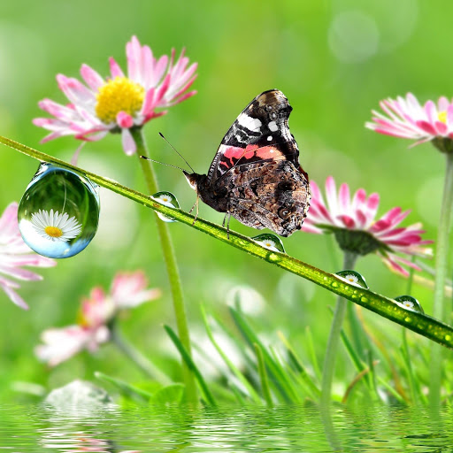 Hd-132037-ascw132037