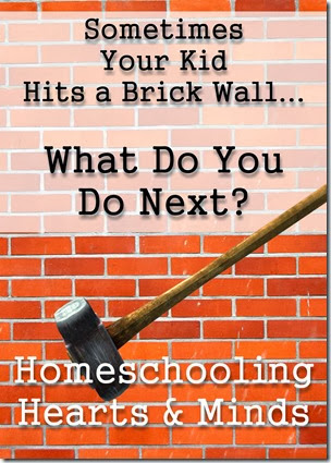 Sometimes Your Kid Hits a Brick Wall---how will you help them to scale it?  Homeschooling Hearts & Minds