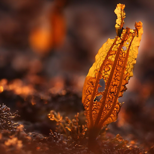 Hd-157431-ascw157431