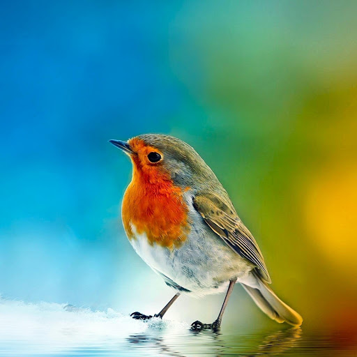 Hd-175885-ascw175885