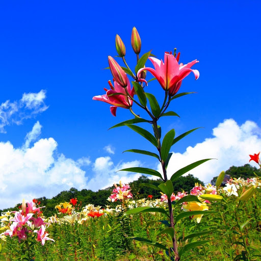 Hd-143589-ascw143589