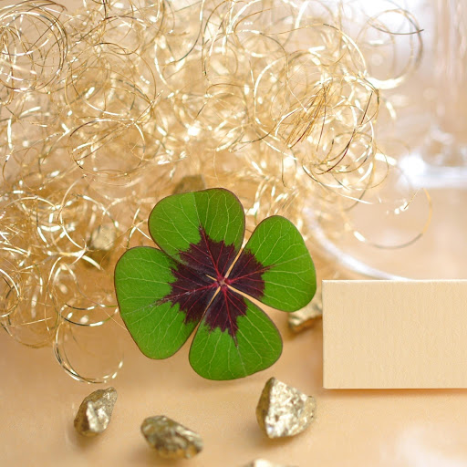 Hd-159630-ascw159630