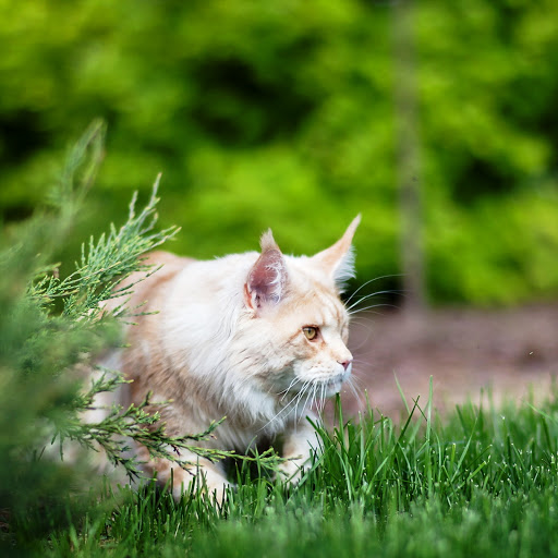 Hd-147511-ascw147511