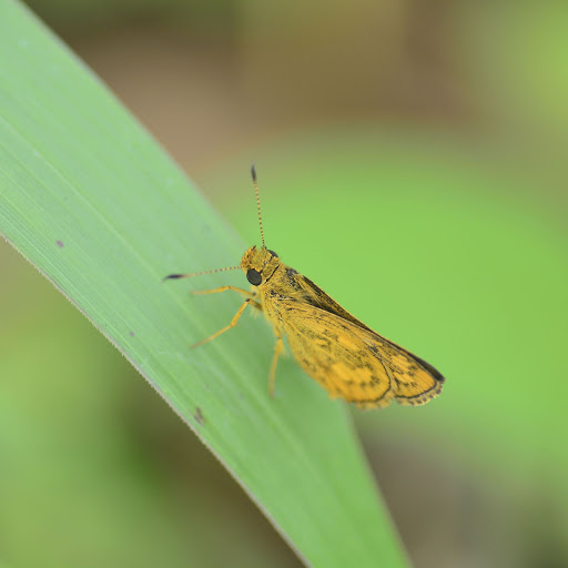 Hd-156491-ascw156491