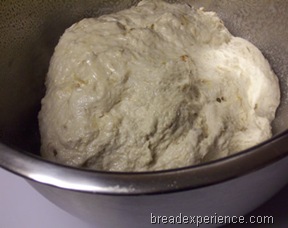 roasted-garlic-parmesan-pot-bread 011