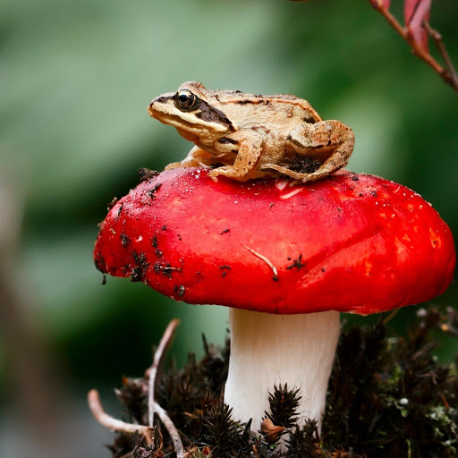 Hd-177957-ascw177957