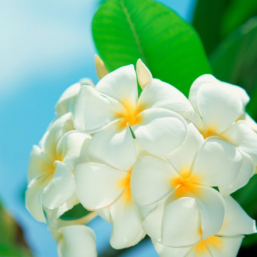 Hd-145640-ascw145640